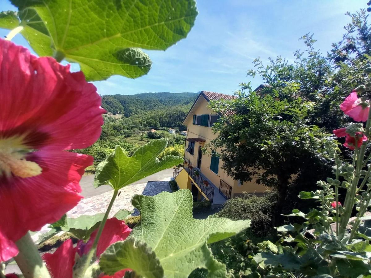 La Valle Fiorita Soviore Екстериор снимка