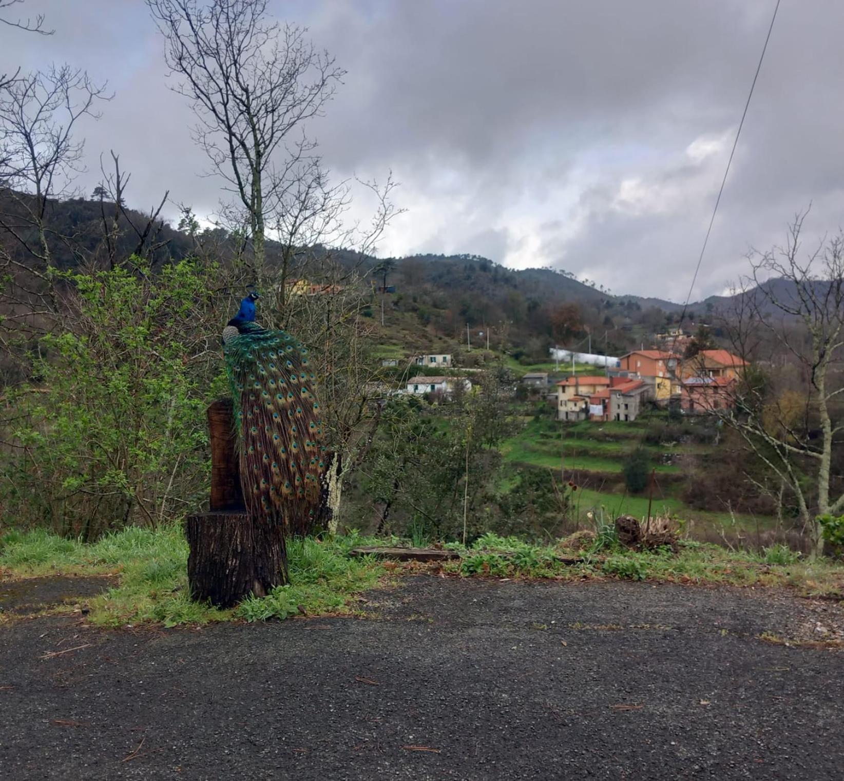 La Valle Fiorita Soviore Екстериор снимка